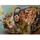 Panier de crabes de bas à Cancale